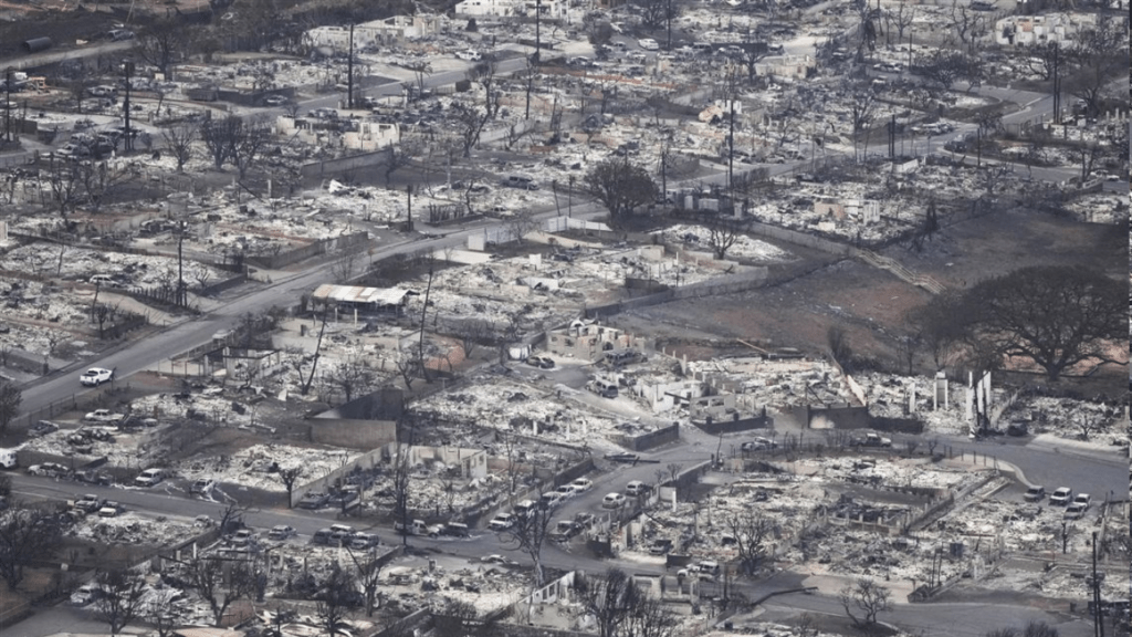 Burning Man 'shelter